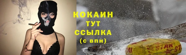 спиды Бородино