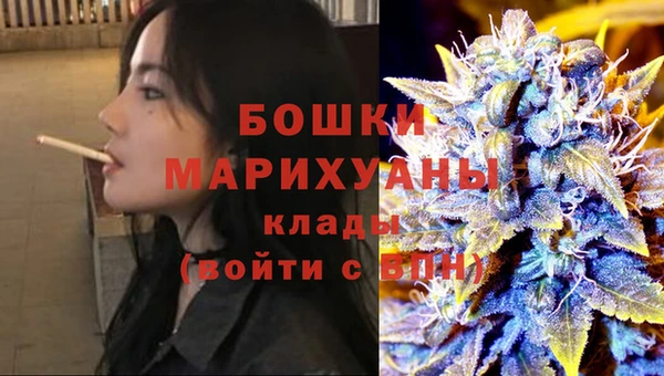 спиды Бородино