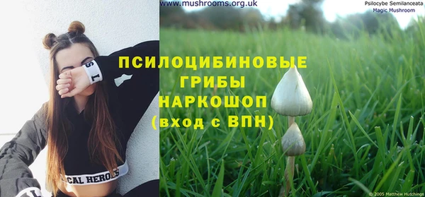 спиды Бородино